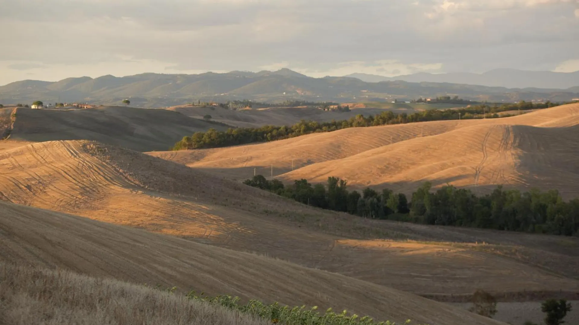 Tenuta D'Arbia, Siena Monteroni d'Arbia