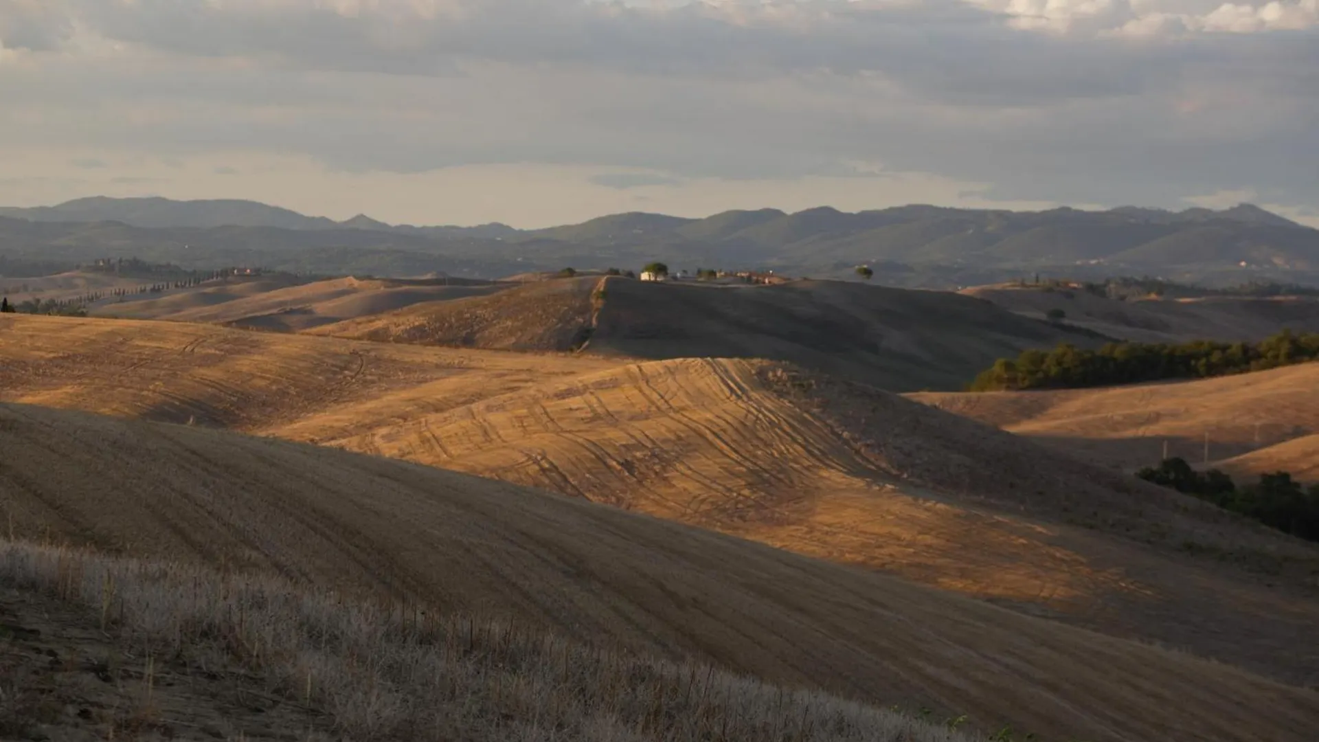 Tenuta D'Arbia, Siena Monteroni dʼArbia 0*,
