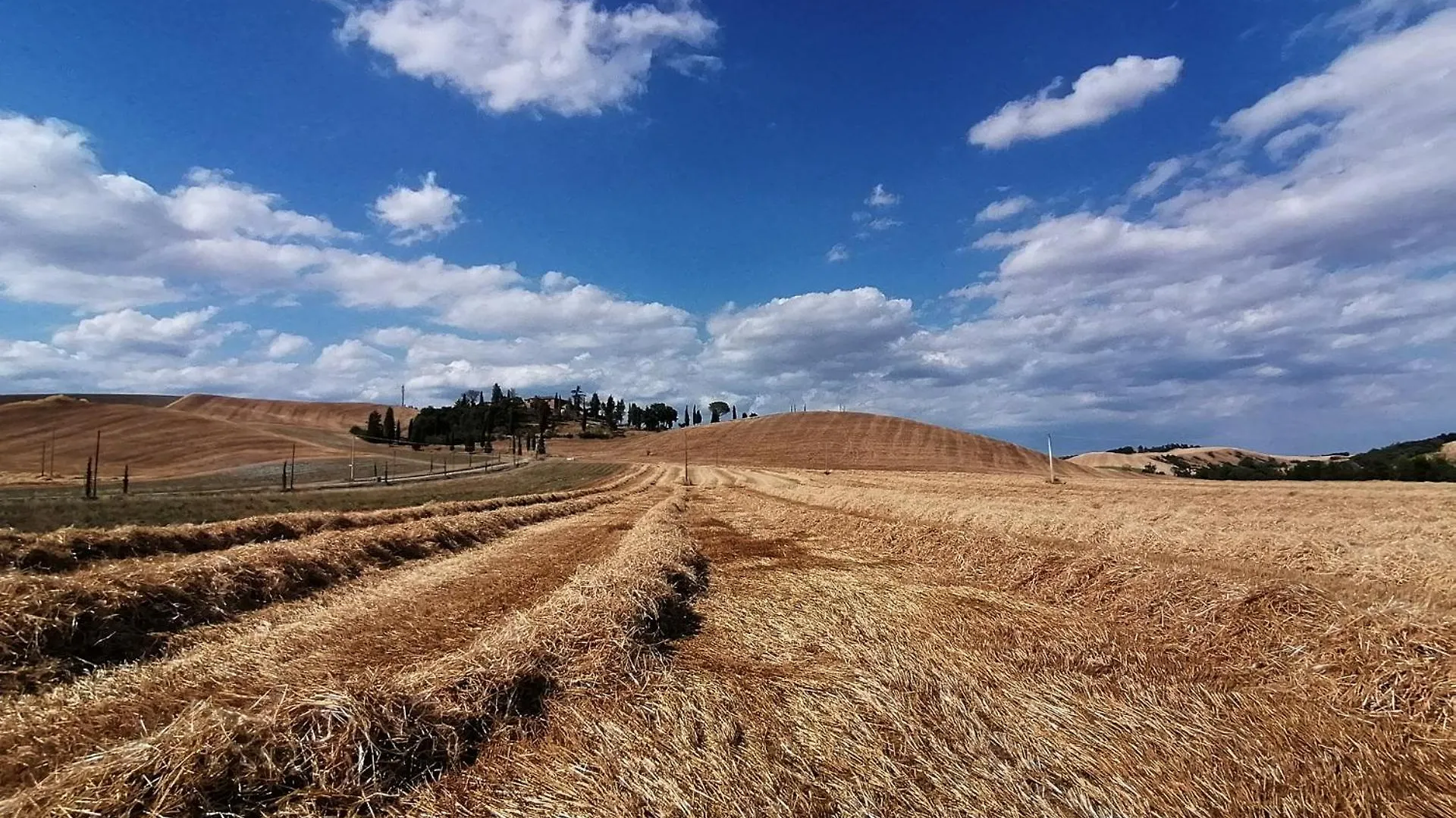 Bauernhof Tenuta D'Arbia, Siena Monteroni dʼArbia